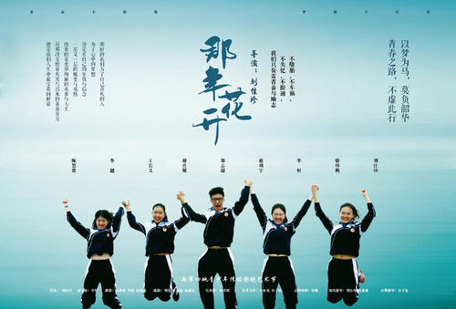 阿兰努斯大学Computer Science Diploma
